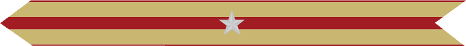 United States Marine Corps Expeditionary Campaign Streamer with 1 silver star