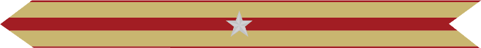 United States Marine Corps Expeditionary Campaign Streamer with 1 silver star United States Marine Corps Expeditionary Campaign Streamer with 1 silver star