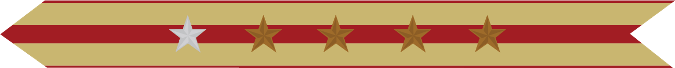United States Marine Corps Expeditionary Campaign Streamer with 1 silver star & 4 bronze stars