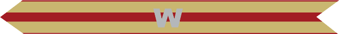 United States Marine Corps Expeditionary Campaign Streamer with silver W United States Marine Corps Expeditionary Campaign Streamer with silver W