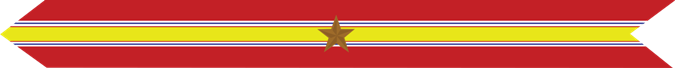 United States Marine Corps National Defense Service Campaign Streamer with 1 bronze star