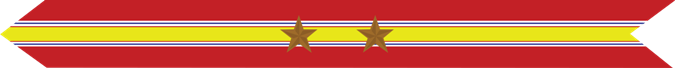United States Marine Corps National Defense Service Campaign Streamer with 2 bronze stars