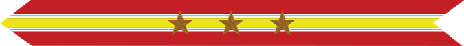United States Marine Corps National Defense Service Campaign Streamer with 3 bronze stars