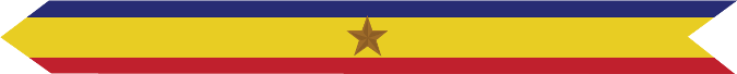 United States Marine Corps Presidential Unit Citation with 1 bronze star