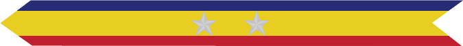 United States Marine Corps Presidential Unit Citation with 2 silver stars