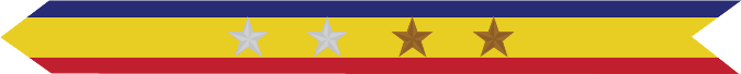 United States Marine Corps Presidential Unit Citation with 2 silver stars & 2 bronze stars