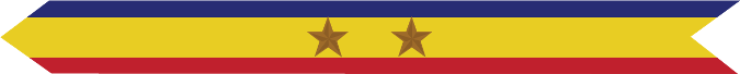 United States Marine Corps Presidential Unit Citation with 2 bronze stars