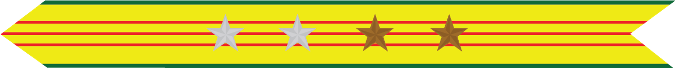 United States Marine Corps Vietnam Service Campaign Streamer with 2 silver stars & 2 bronze stars