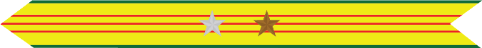 United States Marine Corps Vietnam Service Campaign Streamer with 1 silver star & 1 bronze star