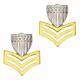 coast guard mirror finish enlisted rank