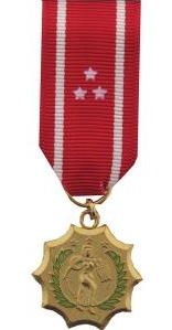 Philippine Defense Medal