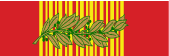 vietnam gallantry cross military ribbon