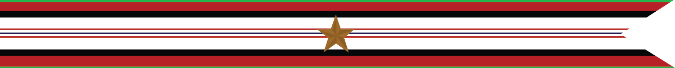 United States Navy Afghanistan Campaign Streamer With 1 Bronze Star