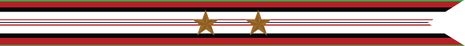 United States Navy Afghanistan Campaign Streamer With 2 Bronze Stars
