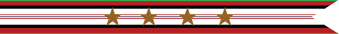 United States Navy Afghanistan Campaign Streamer With 4 Bronze Stars