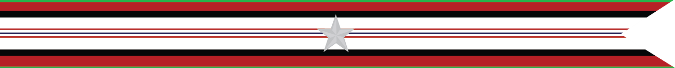 United States Navy Afghanistan Campaign Streamer With 1 Silver Star