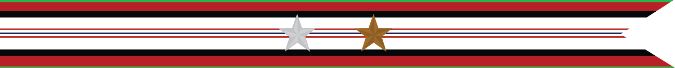 United States Navy Afghanistan Campaign Streamer With 1 Silver Star & 1 Bronze Star