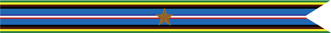 United States Navy Armed Forces Expeditionary Campaign Streamer With 1 Bronze Star