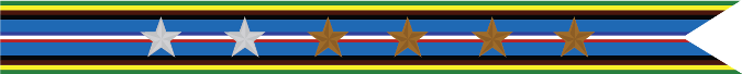 United States Navy Armed Forces Expeditionary Campaign Streamer With 2 Silver Stars & 4 Bronze Stars