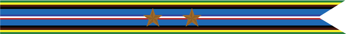 United States Navy Armed Forces Expeditionary Campaign Streamer With 2 Bronze Stars