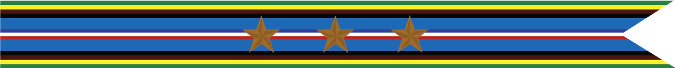 United States Navy Armed Forces Expeditionary Campaign Streamer With 3 Bronze Stars