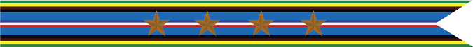 United States Navy Armed Forces Expeditionary Campaign Streamer With 4 Bronze Stars