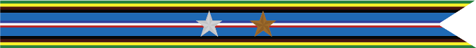 United States Navy Armed Forces Expeditionary Campaign Streamer With With 1 Silver Star & 1 Bronze Star