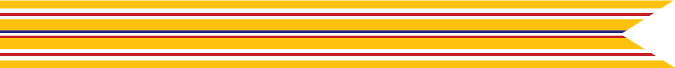 World War II - Pacific Theater Campaign Streamer (8 silver stars, 3 bronze stars)