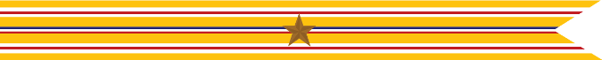 United States Navy Asiatic-Pacific Campaign Streamer with 1 Bronze Star