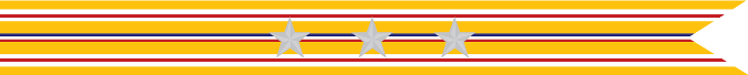 United States Navy Asiatic-Pacific Campaign Streamer with 3 Silver Stars 
