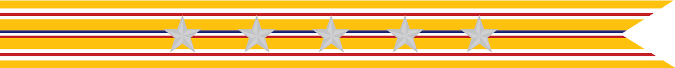United States Navy Asiatic-Pacific Campaign Streamer with 5 Silver Stars 