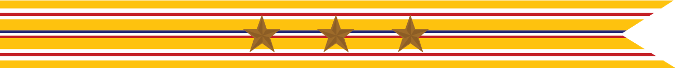 United States Navy Asiatic-Pacific Campaign Streamer with 3 Bronze Stars