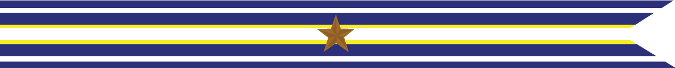 United States Navy Barbary Wars Campaign Streamer With 1 Bronze Star