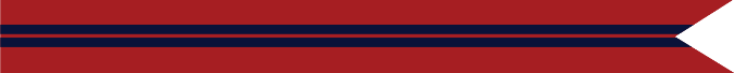 Dominican Campaign Campaign Streamer