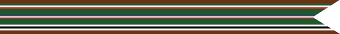 World War II - European African Middle Eastern Theater Campaign Streamer (1 silver star, 4 bronze stars) 