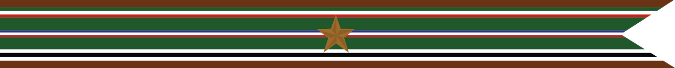United States Navy World War 2 European-African Middle Eastern Theater Campaign Streamer
With 1 Bronze Star