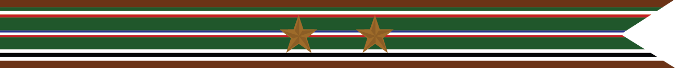 United States Navy World War 2 European-African Middle Eastern Theater Campaign Streamer
With 2 Bronze Stars