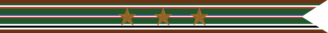 United States Navy World War 2 European-African Middle Eastern Theater Campaign Streamer
With 3 Bronze Stars