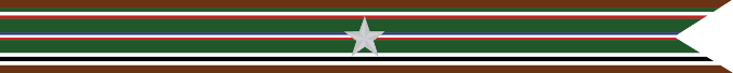 United States Navy World War 2 European-African Middle Eastern Theater Campaign Streamer
With 1 Silver Star