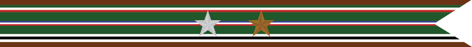 United States Navy World War 2 European-African Middle Eastern Theater Campaign Streamer
With 1 Silver Star & 1 Bronze Star