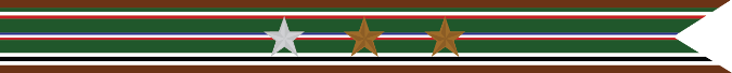 United States Navy World War 2 European-African Middle Eastern Theater Campaign Streamer
With 1 Silver Star & 2 Bronze Stars