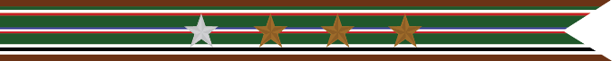 United States Navy World War 2 European-African Middle Eastern Theater Campaign Streamer
With 1 Silver Star & 3 Bronze Stars