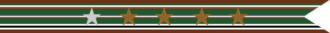 United States Navy World War 2 European-African Middle Eastern Theater Campaign Streamer
With 1 Silver Star & 4 Bronze Stars