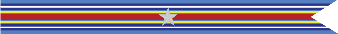 United States Navy Global War on Terrorism Expeditionary Campaign Streamer With 1 Silver Star