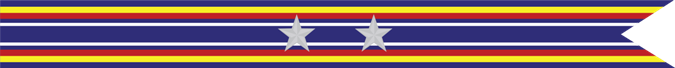 United States Navy Global War on Terrorism Service Campaign Streamer With 2 Silver Stars