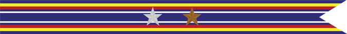 United States Navy Global War on Terrorism Service Campaign Streamer With 1 Silver Star & 1 Bronze Star