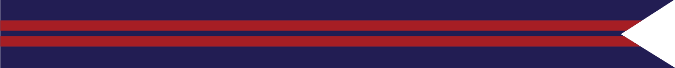 Haitian Campaign Campaign Streamer