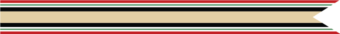 Iraq Campaign Campaign Streamer (1 silver star, 2 bronze star) 