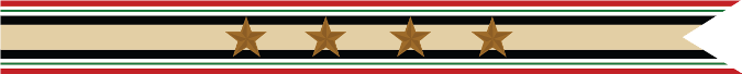 United States Navy Iraq Campaign Streamer With 4 Bronze Stars