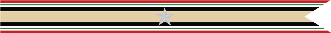 United States Navy Iraq Campaign Streamer With 1 Silver Star